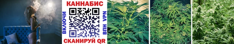Бошки Шишки VHQ  Купить  Назрань 